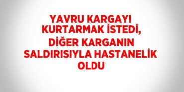 21346238322177928621tasarimli