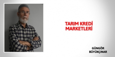 21347223573043429197