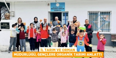 21353239113095629527tasarimli
