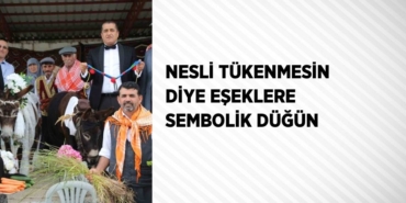 21354299182406530094