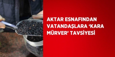 21355221903190229010