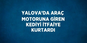 21355275023132824937tasarimli