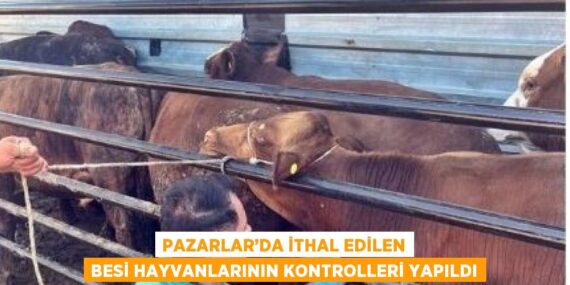 PAZARLAR’DA İTHAL EDİLEN BESİ HAYVANLARININ KONTROLLERİ YAPILDI