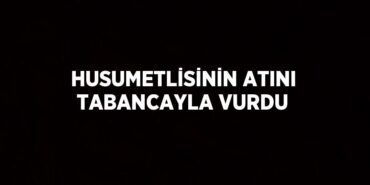 21365268352858423981tasarimli