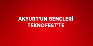 21367228483149225641tasarimli