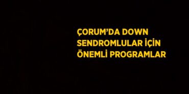 21367256493165726159