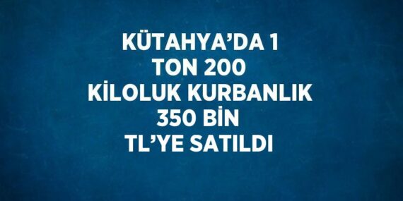 KÜTAHYA’DA 1 TON 200 KİLOLUK KURBANLIK 350 BİN TL’YE SATILDI