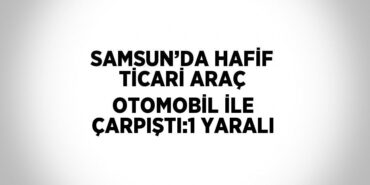 21384310763170922911tasarimli