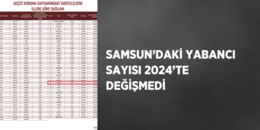 21387253033129825507