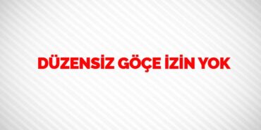 21387308163019130278