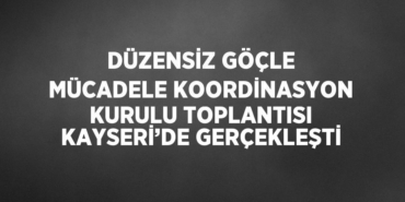21388279042343421519tasarimli