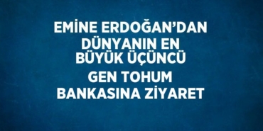 21394212142310331608tasarimli