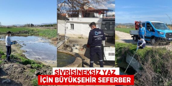 SİVRİSİNEKSİZ YAZ İÇİN BÜYÜKŞEHİR SEFERBER