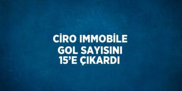 21414298802218829856tasarimli