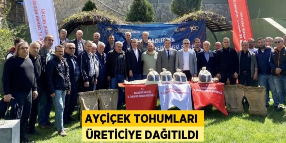 AYÇİÇEK TOHUMLARI ÜRETİCİYE DAĞITILDI