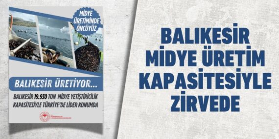 BALIKESİR MİDYE ÜRETİM KAPASİTESİYLE ZİRVEDE