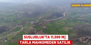 21425215192623826588tasarimli