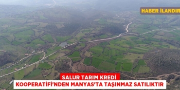 21425276183036725812tasarimli