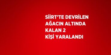 21434250232937323558