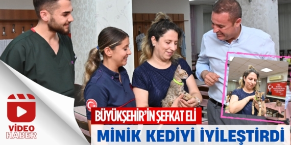 BÜYÜKŞEHİR’İN ŞEFKAT ELİ MİNİK KEDİYİ İYİLEŞTİRDİ