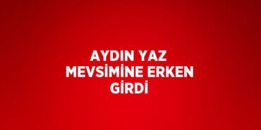 21438242902099729391tasarimli