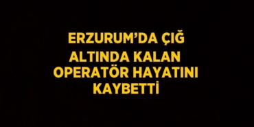 21447295092378527460tasarimli