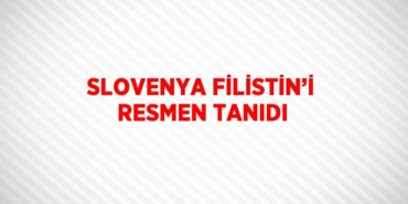 21452208502956824656tasarimli