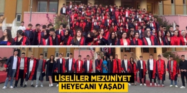21455241462645630101tasarimli