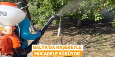 21461263712781923497tasarimli