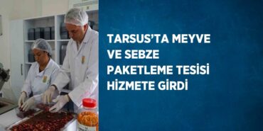 21462310682584927172