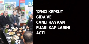 21464261492324023073