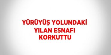 21465220922692929152tasarimli