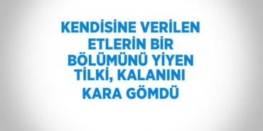 21467277263035724299tasarimli