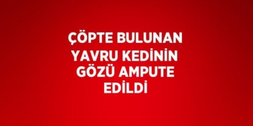 21472215332417727330tasarimli