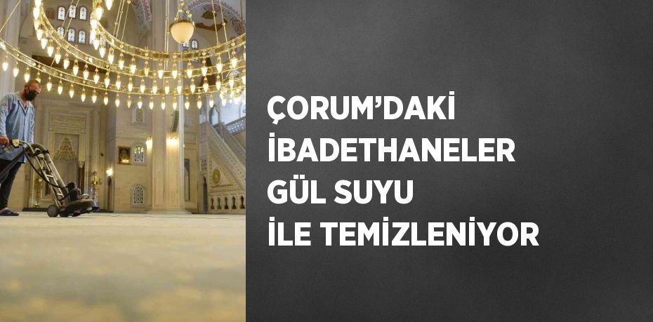 21476265682099227752