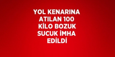 21481288402350129609tasarimli