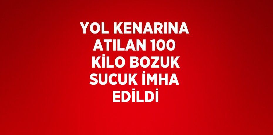 21481288402350129609tasarimli