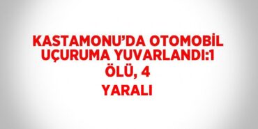 21485285042390921539tasarimli
