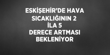 21487273212193721702tasarimli