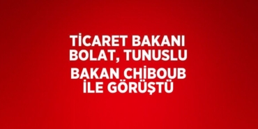 21487311422045431642tasarimli