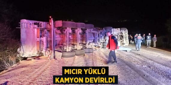 MICIR YÜKLÜ KAMYON DEVİRLDİ