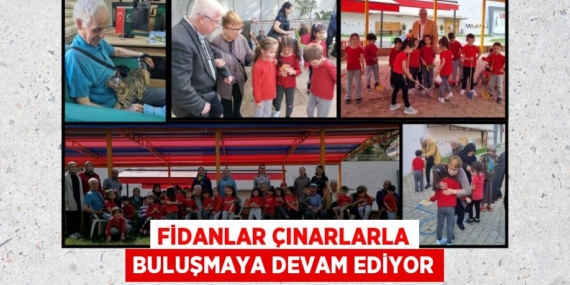 FİDANLAR ÇINARLARLA BULUŞMAYA DEVAM EDİYOR