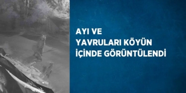 21506295552838628034