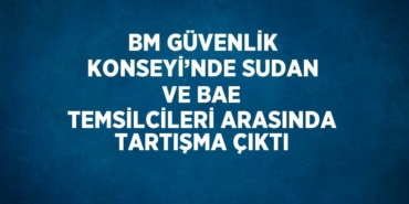 21508259642599228390tasarimli