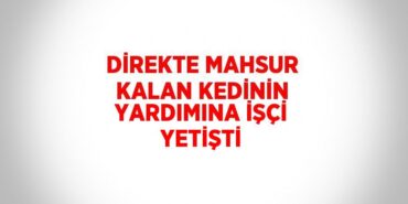 21514240022614220898tasarimli