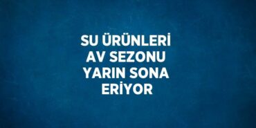 21515299632501822423tasarimli