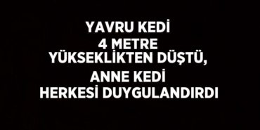 21521230262295828438tasarimli