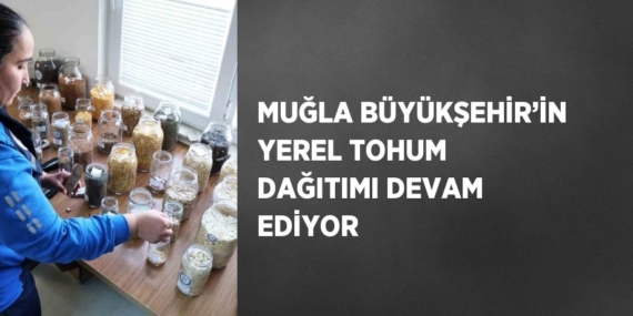 MUĞLA BÜYÜKŞEHİR’İN YEREL TOHUM DAĞITIMI DEVAM EDİYOR