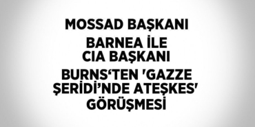 21525224952820524385tasarimli