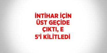 21529221513030028569tasarimli